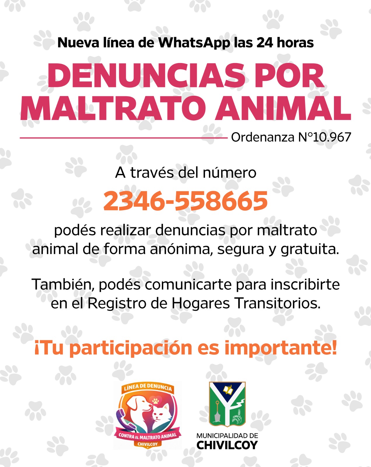 Se encuentra en vigencia el Protocolo de Denuncias por Maltrato Animal