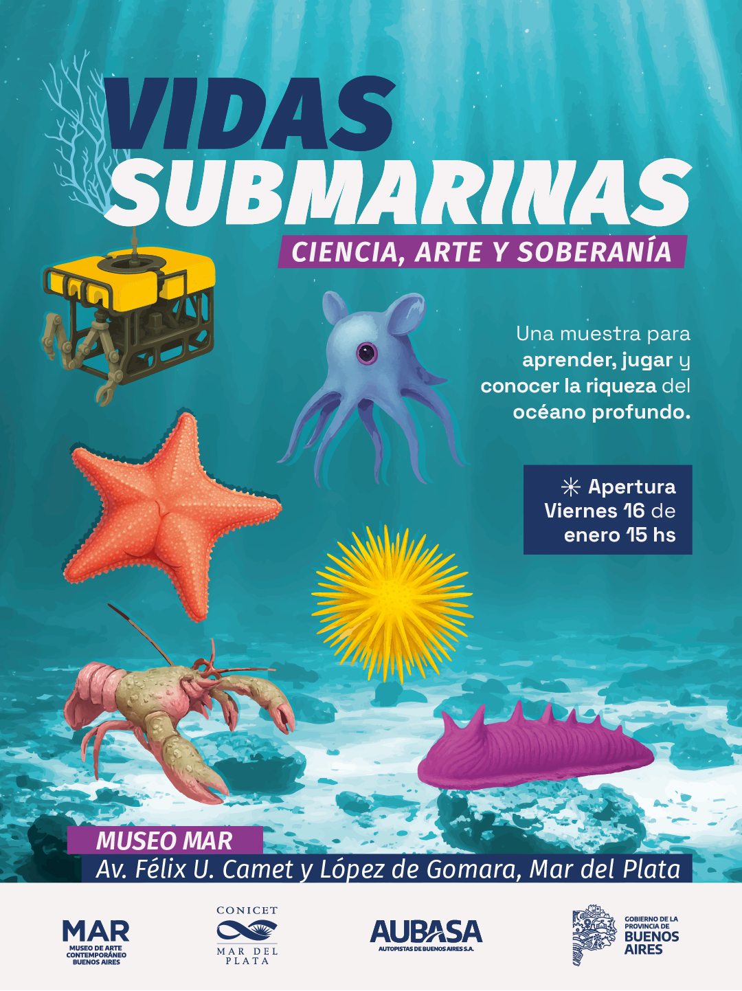 La Provincia inaugura la muestra “Vidas submarinas – Ciencia, arte y soberanía” en el Museo MAR de la ciudad de Mar del Plata