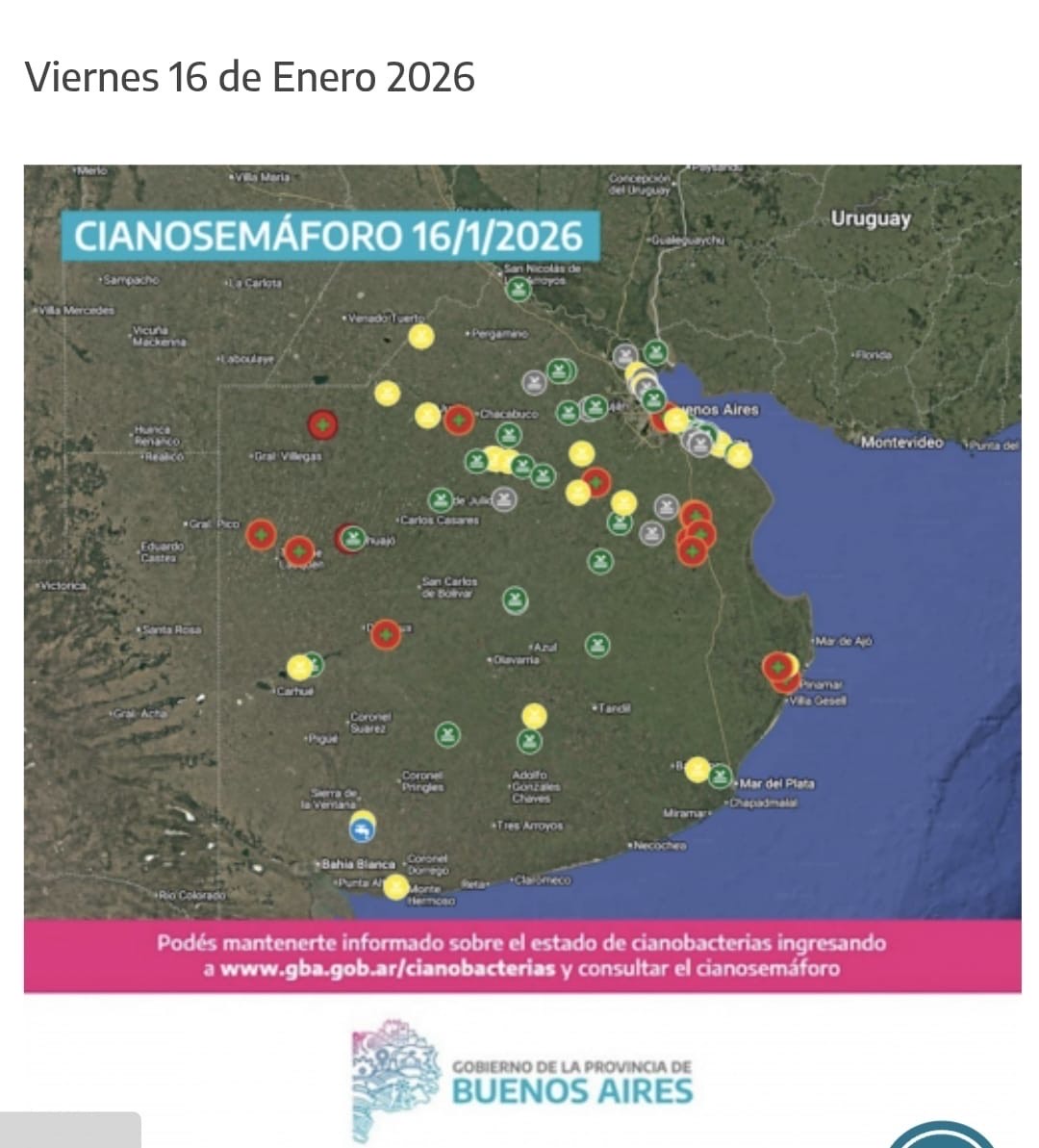 Chivilcoy con bandera verde para cianobacterias en dos puntos testeados. Ramón Biaus y Parque Martija