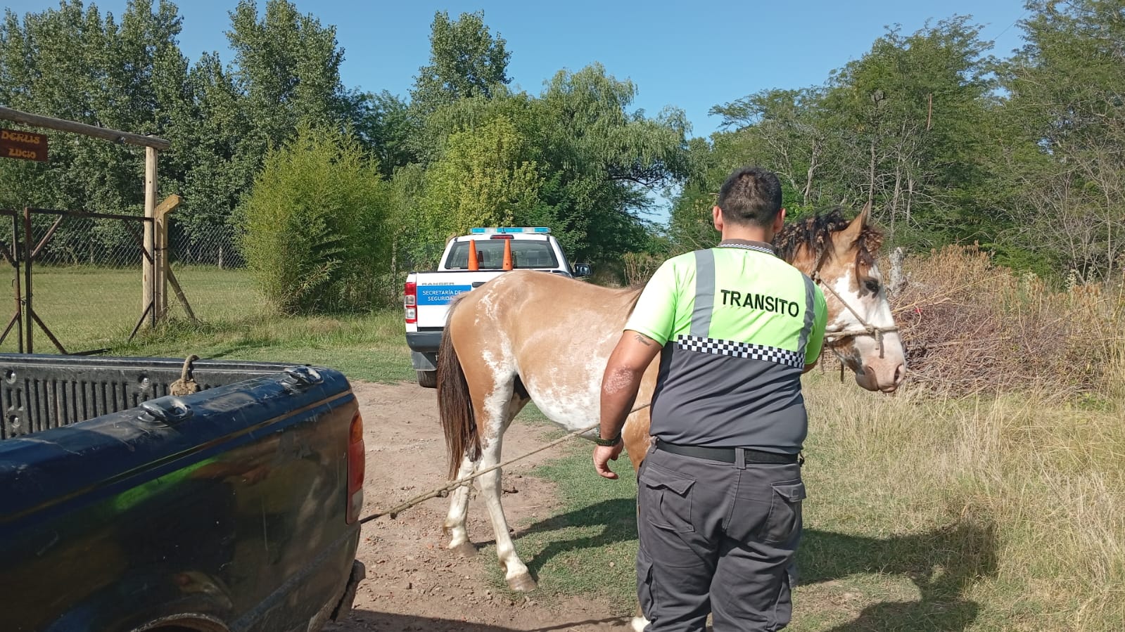 Se labraron infracciones por equinos sueltos tras la puesta en marcha del protocolo