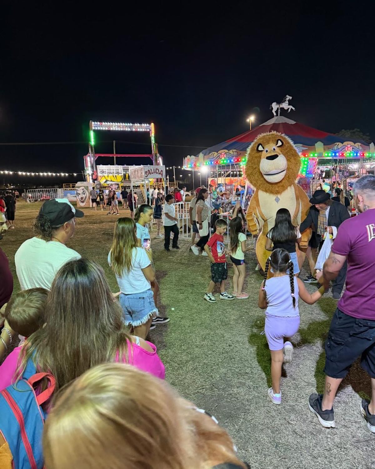 Aclaración oficial sobre el accidente en el Parque de Diversiones Central Park
