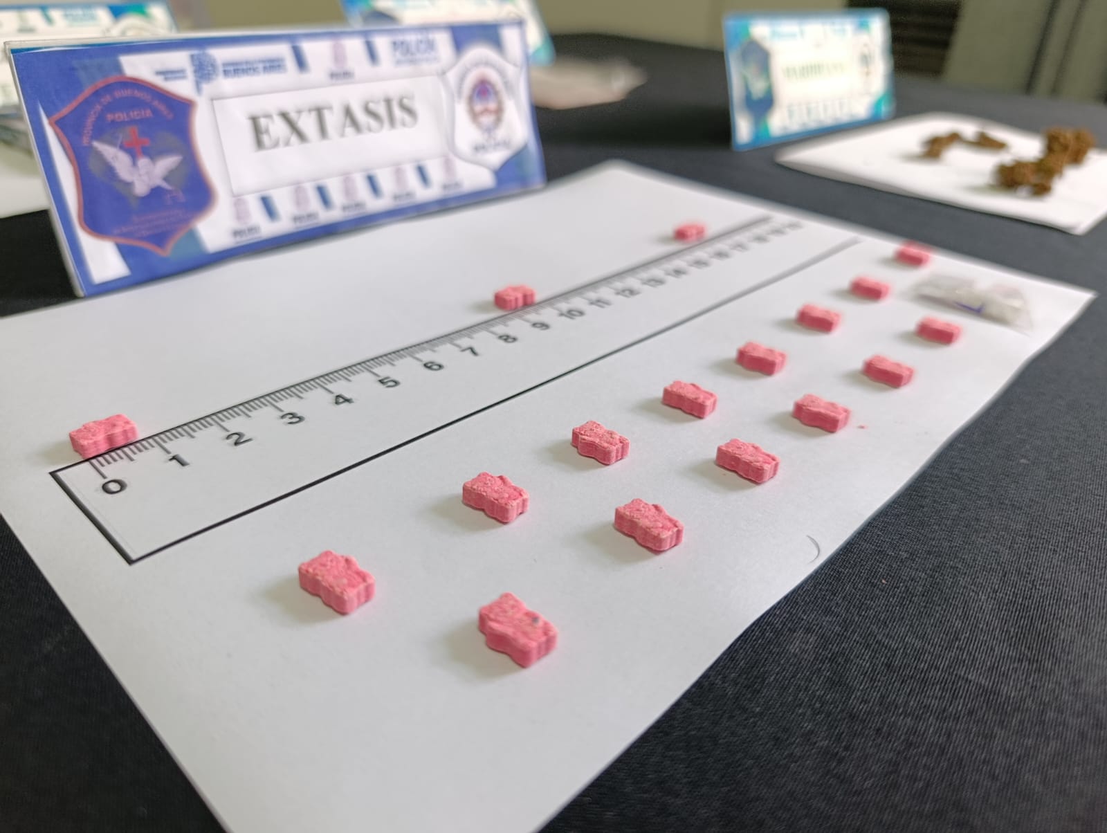 DOS IMPORTANTES OPERATIVOS CON ALLANAMIENTOS, DOS DETENIDOS Y SECUESTRO DE DROGAS EN EL MARCO DE INVESTIGACIONES ANTIDROGAS EN CHIVILCOY