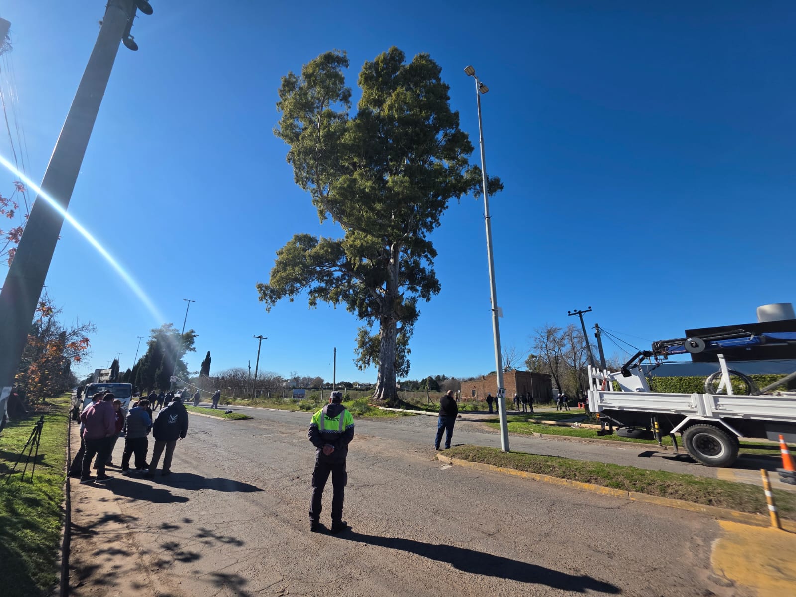 Importante operativo de poda preventiva en el histórico eucalipto ubicado en Acceso Eva Perón en la intersección con calle 1