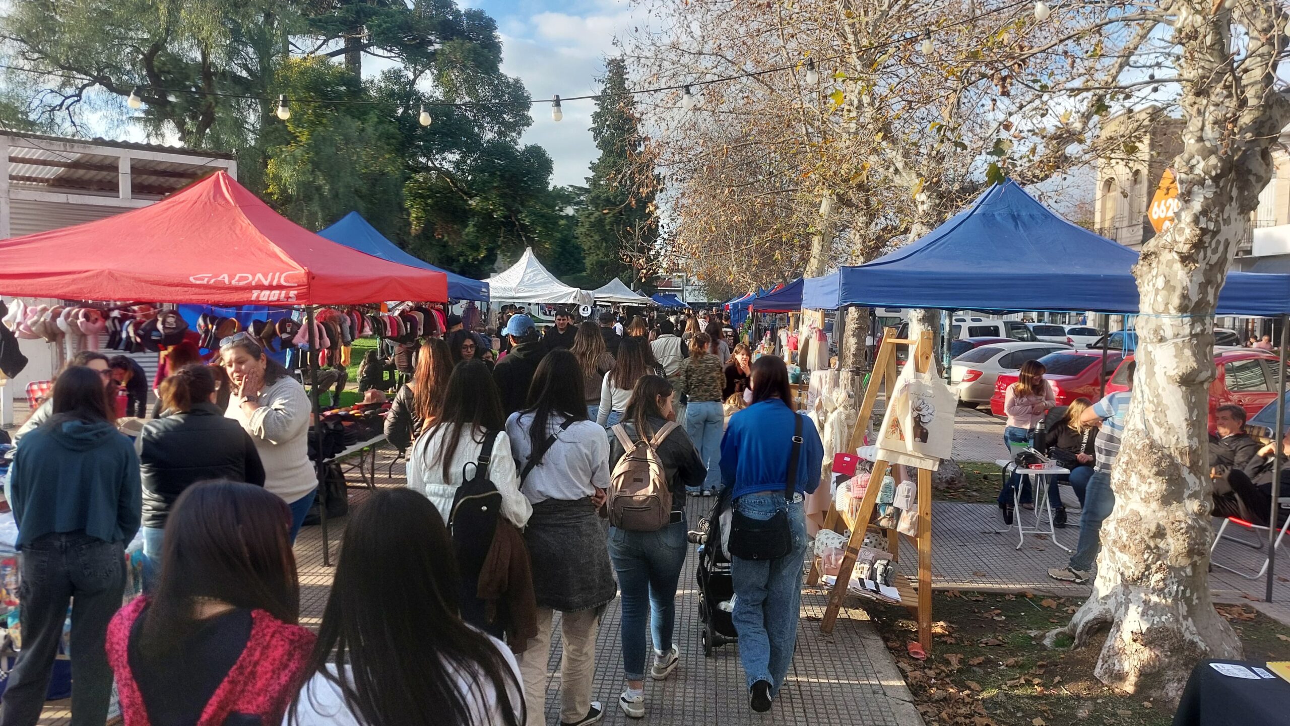 Feria Bio: una multitud disfrutó de una nueva edición en Plaza 25 de Mayo