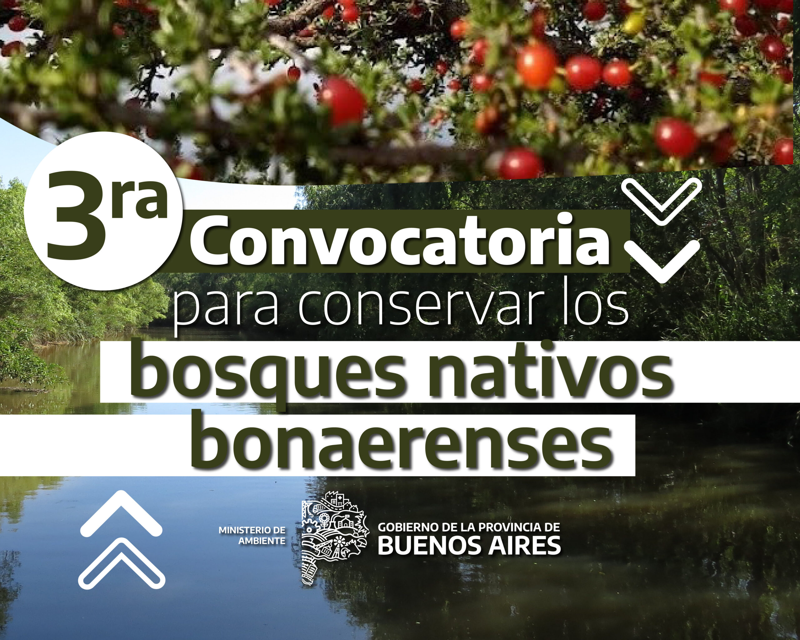 El Ministerio de Ambiente lanzó la convocatoria 2026 para productores con predios con bosque nativo