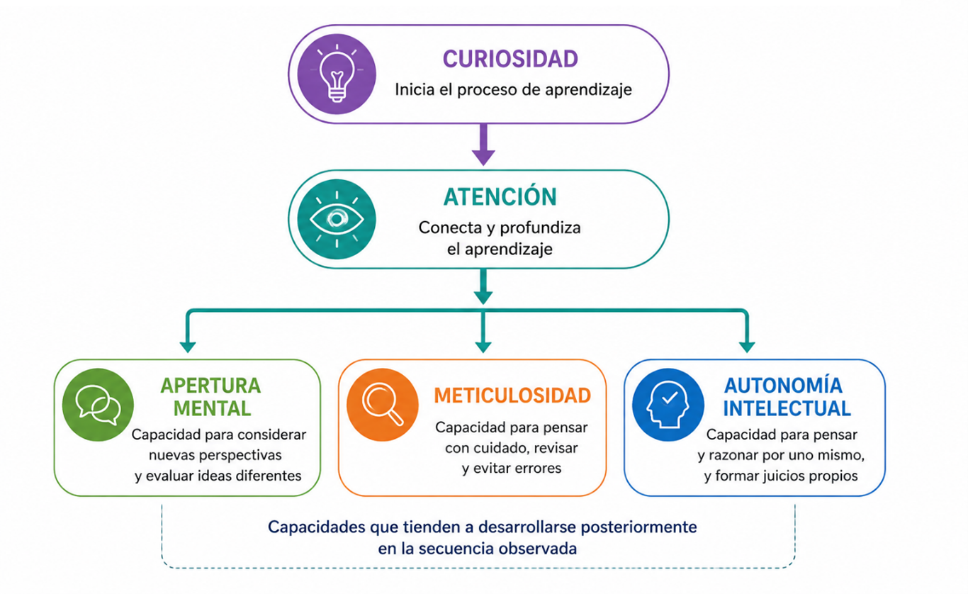 Un estudio sugiere que la curiosidad inicia el proceso de aprendizaje y desarrollo intelectual