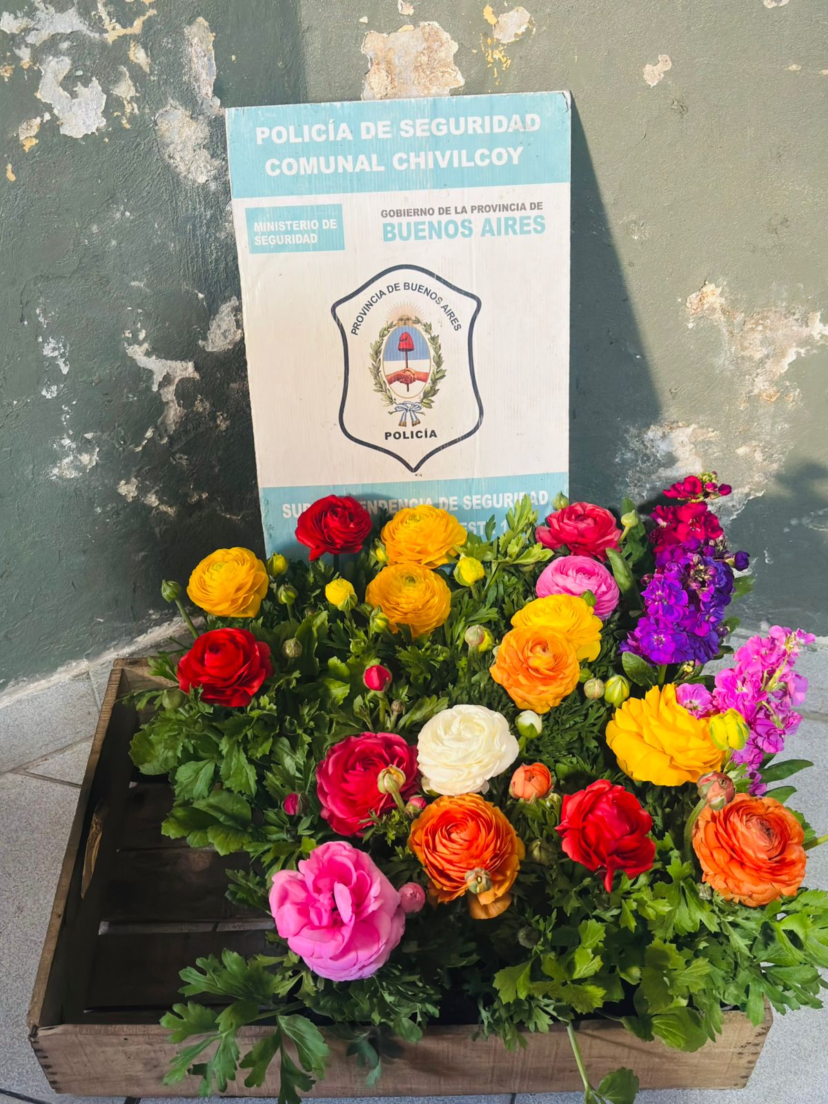 Dos vendedores ambulantes oriundos del conurbano fueron aprehendidos y se les decomisaron plantas
